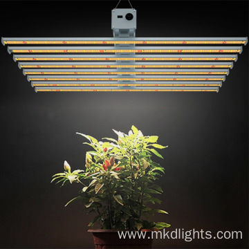 Best Cheap Grow Lights For House Plants